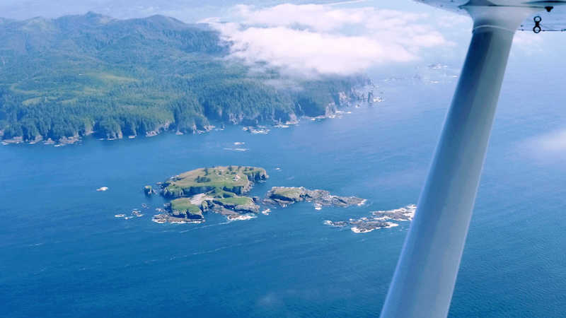 Tatoosh Island