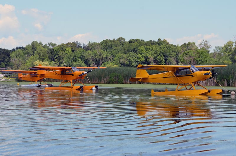 Cubs at Seaplane base