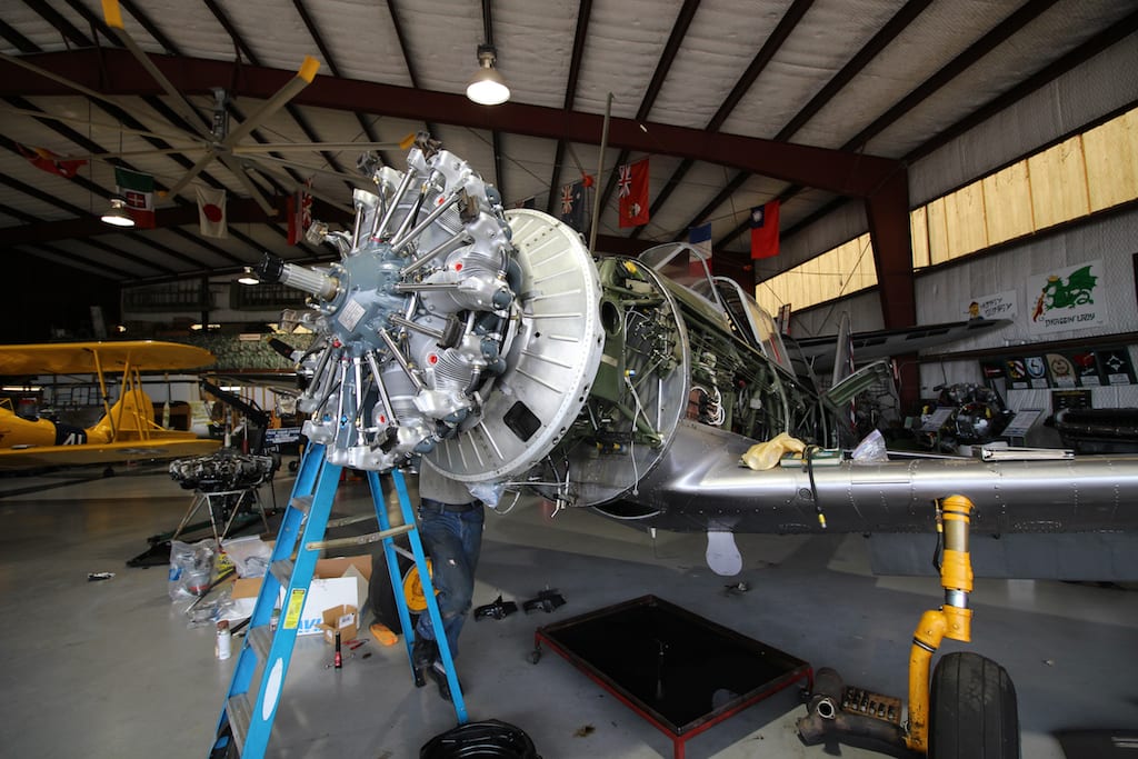 BT-13 (Photo by Sam Bulger)