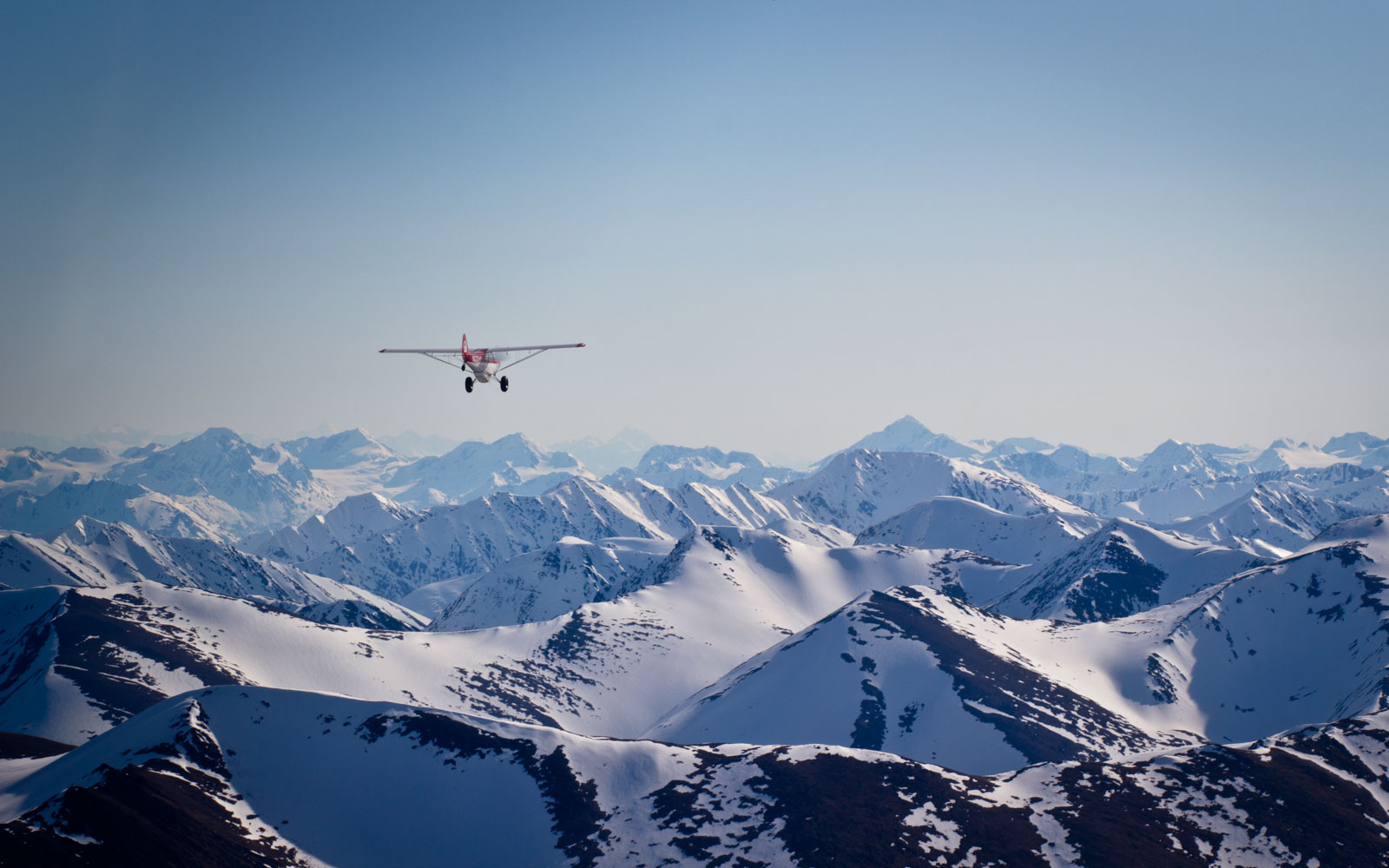 zanejacobson-husky-over-chugach-mountains