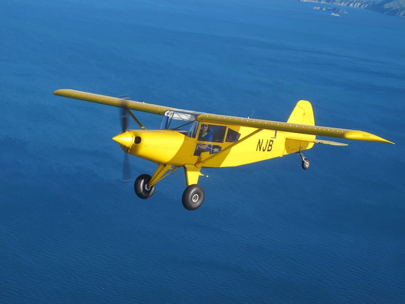 Bearhawk Bravo yellow